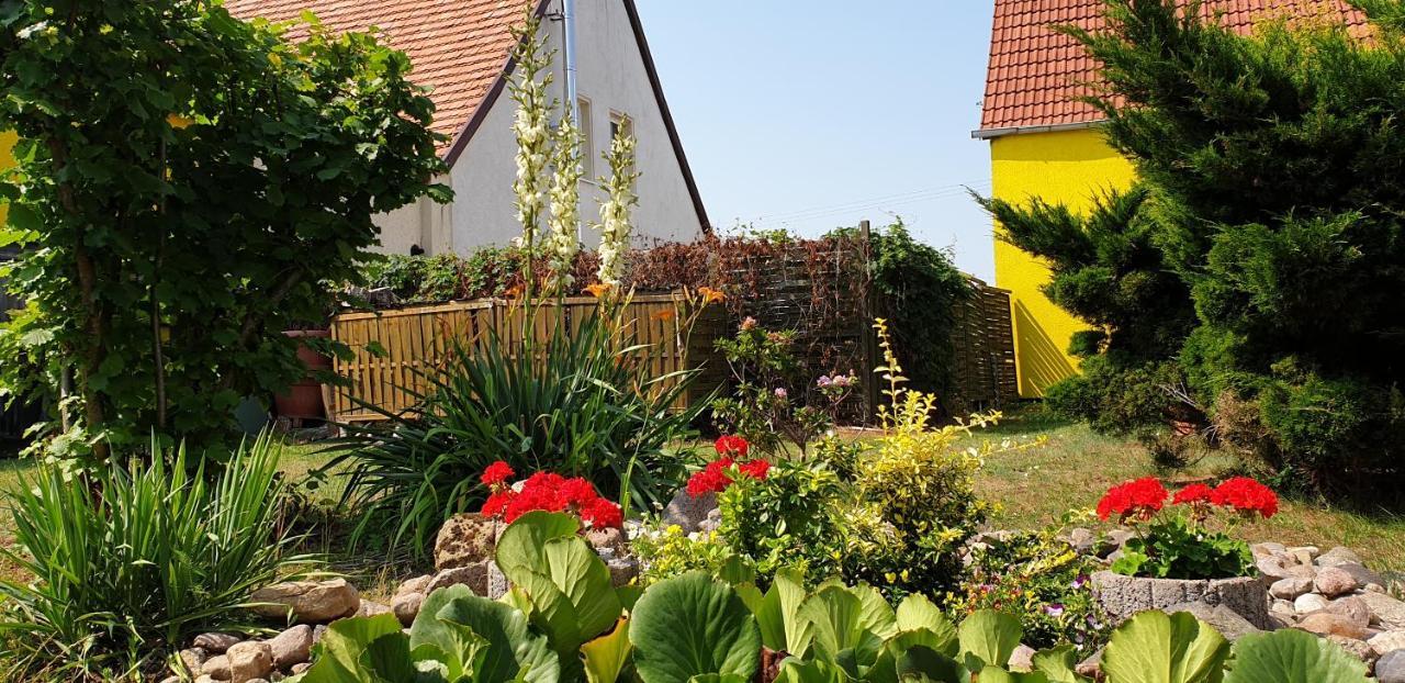 Ferienwohnungen "Zur Schamper Muehle" Gotthun Exterior foto